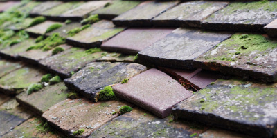 Bray roof repair costs